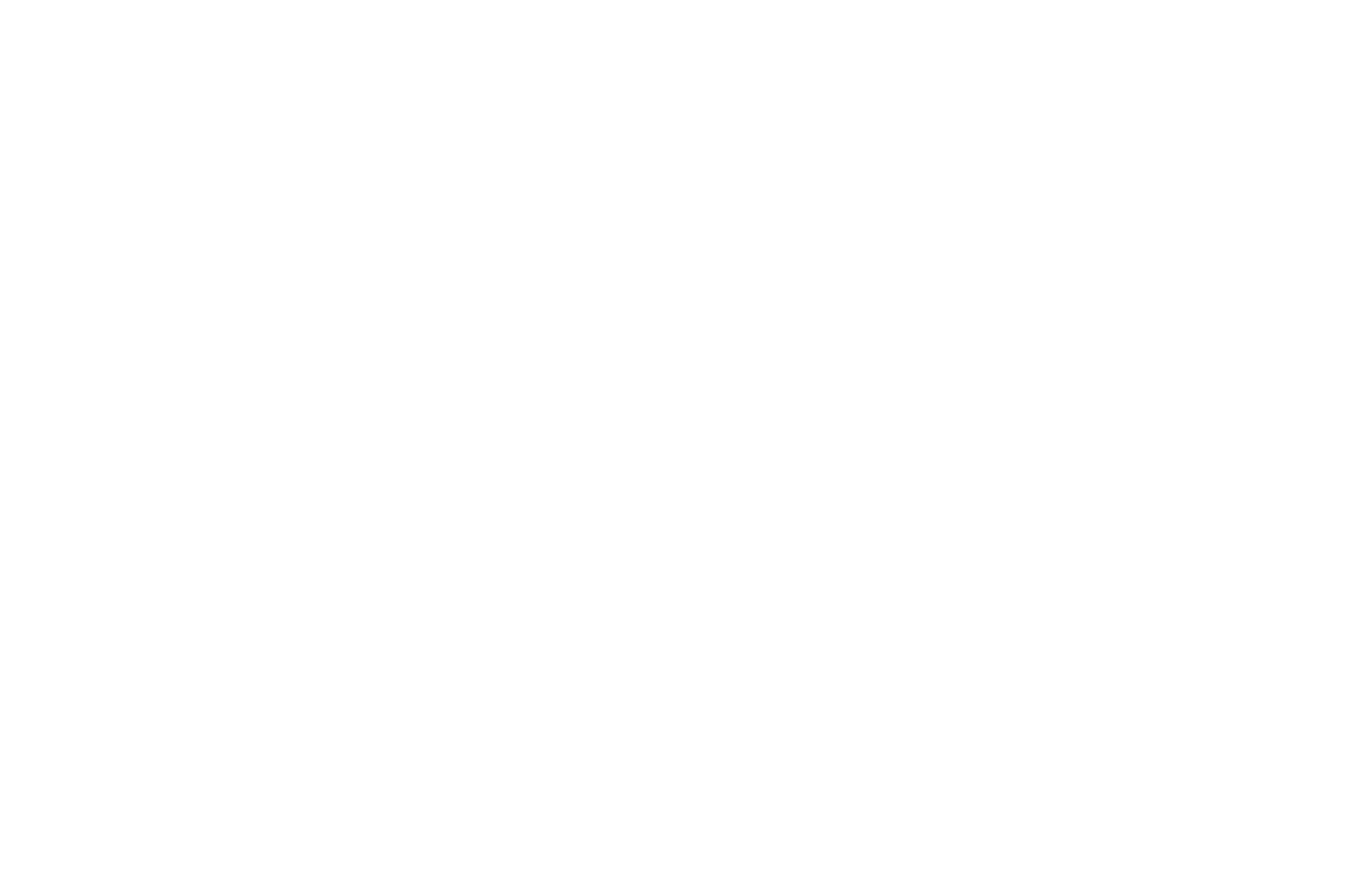 Official Selection — New England Animation Festival 2025