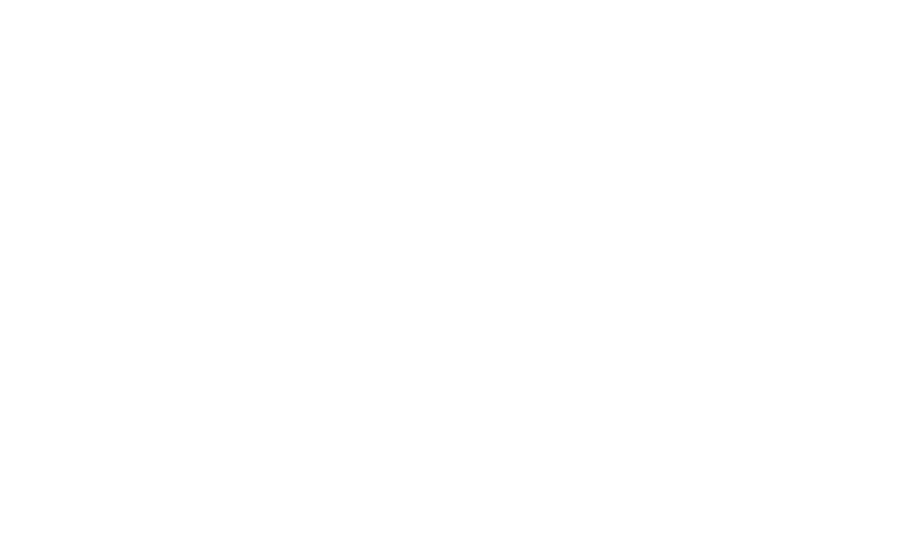 Official Selection — Festival Circuit